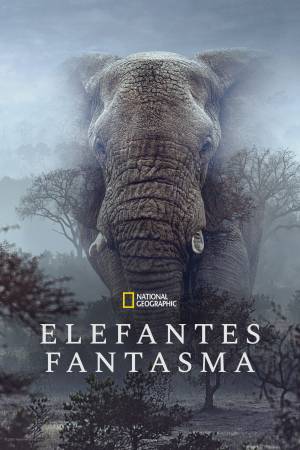 Pelisplus2 Ghost Elephants