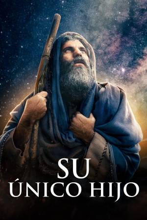 Pelisplus2 Su único hijo