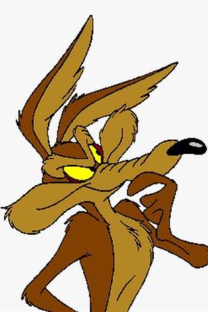 Pelisplus2 Coyote vs. Acme