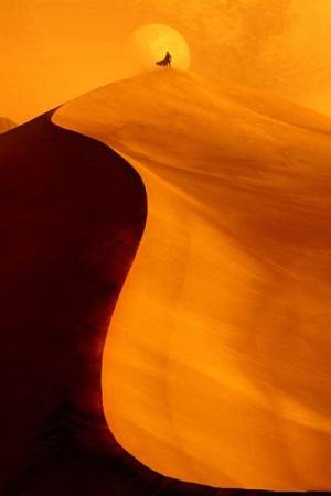 Pelisplus2 Dune 2