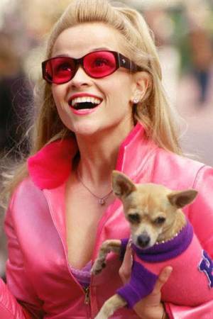Pelisplus2 Legally Blonde 3