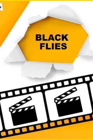 Pelisplus2 Black Flies