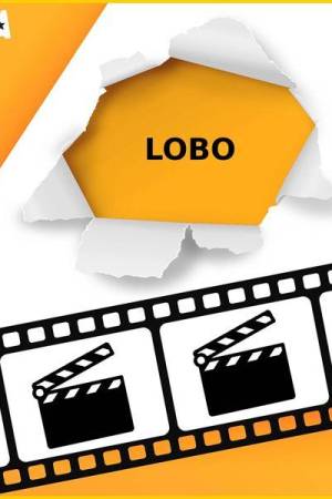 Pelisplus2 Lobo