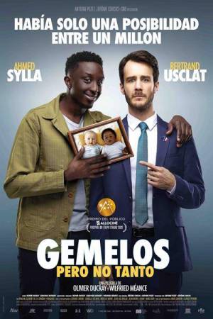 Pelisplus2 Gemelos, pero no tanto