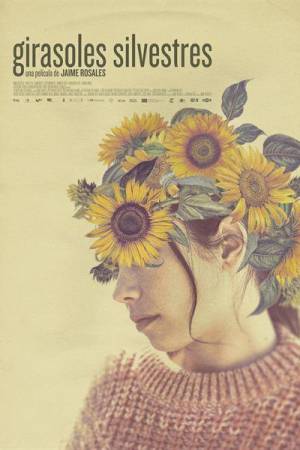 Pelisplus2 Girasoles silvestres