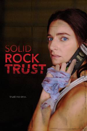 Pelisplus2 Solid Rock Trust