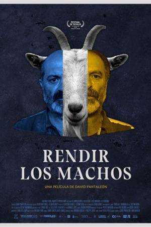 Rendir los machos
