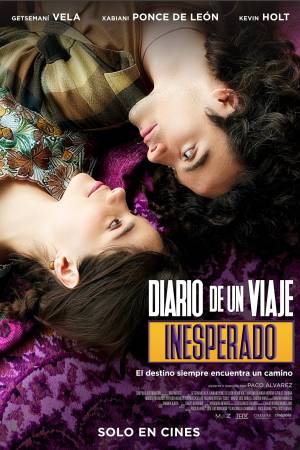 Pelisplus2 Diario de un viaje inesperado
