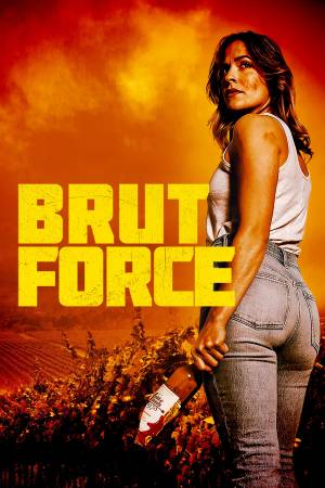 Pelisplus2 Brut Force
