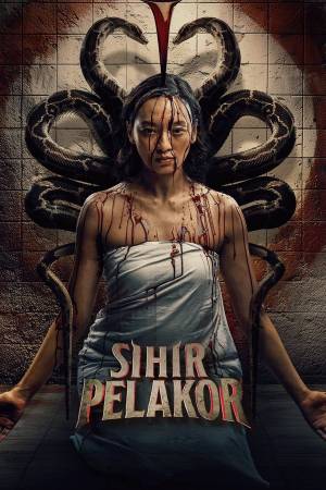 Pelisplus2 Sihir Pelakor