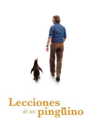 Pelisplus2 Lo que aprendí de mi pingüino