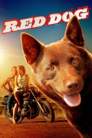 Pelisplus2 Red Dog, una historia de lealtad