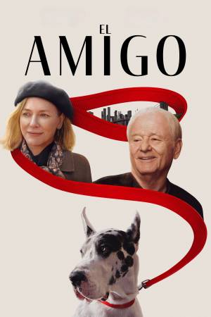 Pelisplus2 El Amigo