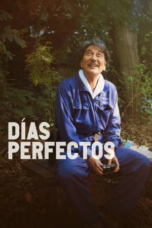 Pelisplus2 Días Perfectos
