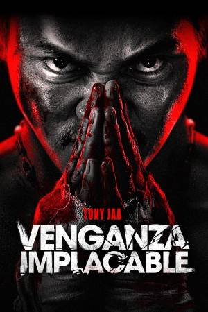Pelisplus2 Venganza implacable