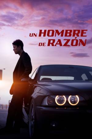 Pelisplus2 Un hombre de razón