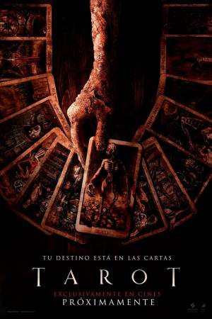 Pelisplus2 Tarot
