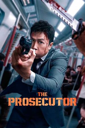 Pelisplus2 The Prosecutor