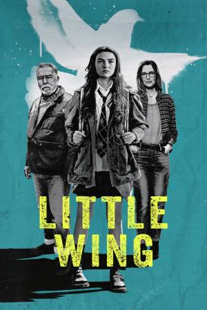 Pelisplus2 Little Wing