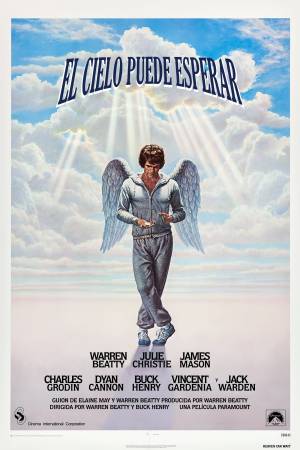 Pelisplus2 El cielo puede esperar