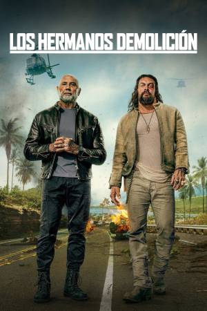 Pelisplus2 Los hermanos demolición